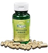 ORGANIC ZING Artemisinin Capsules extracted from Artemisia Annua (Sweet Wormwood) - Vegan & Glute...