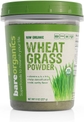 Wheat Grass