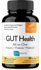 Gut Health