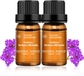 2 Pack Verbena